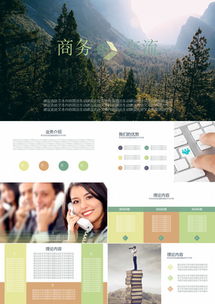 公司團(tuán)隊(duì)項(xiàng)目介紹服務(wù)ppt模板下載 76頁 其他熊貓辦公