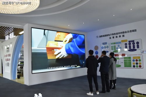 縣委常委、宣傳部部長甘占芳一行蒞臨電子商務公共服務中心指導商務服務工作